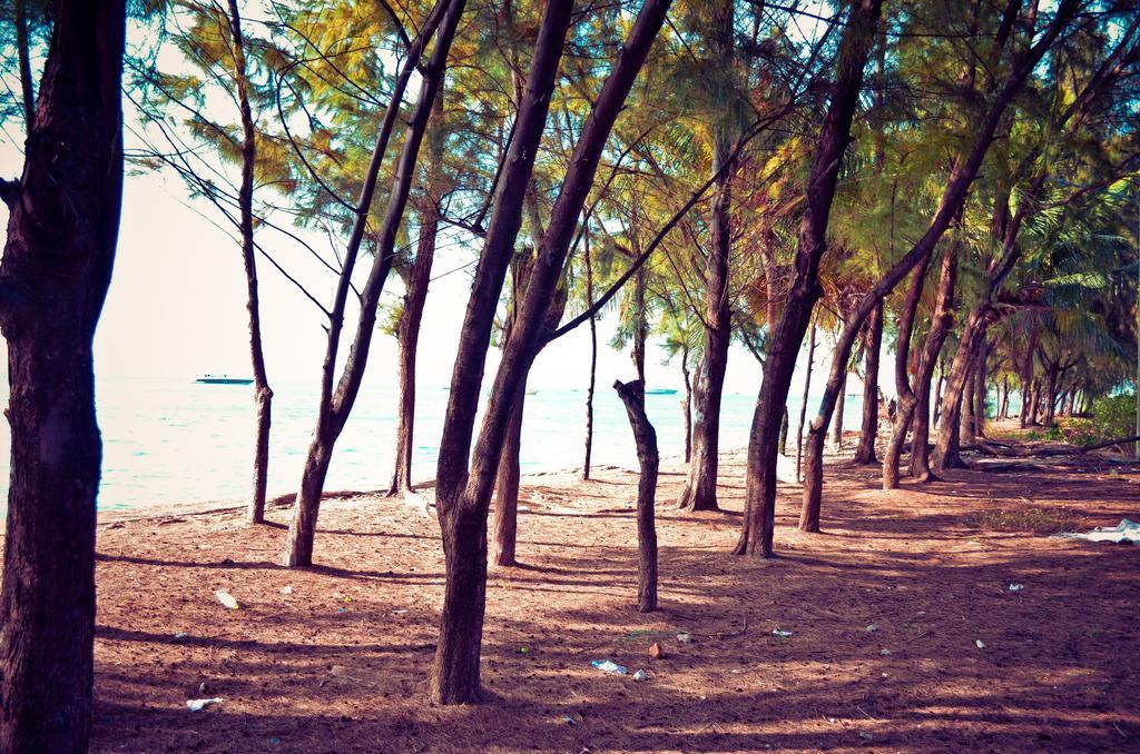 Beach Palace Hulhumalé Extérieur photo